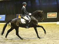 Don Tango 201113_1783